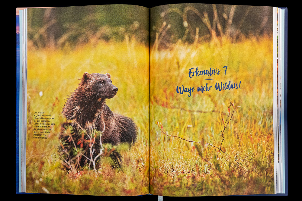 Finnland 03
