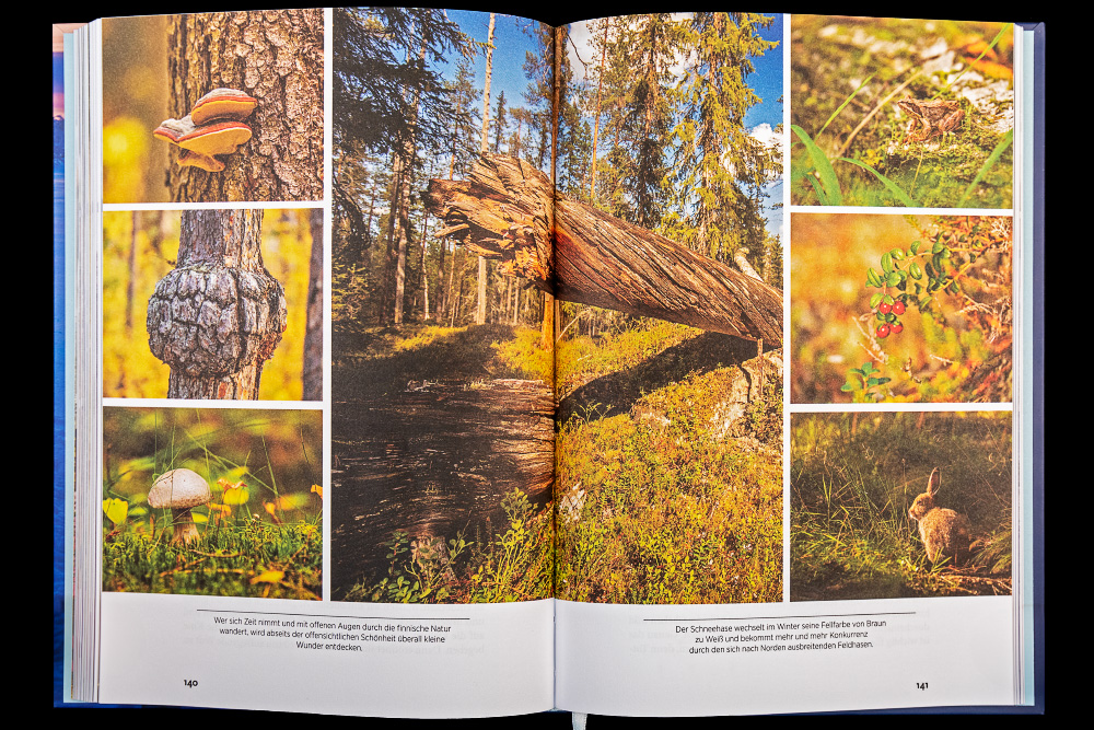 Finnland 04