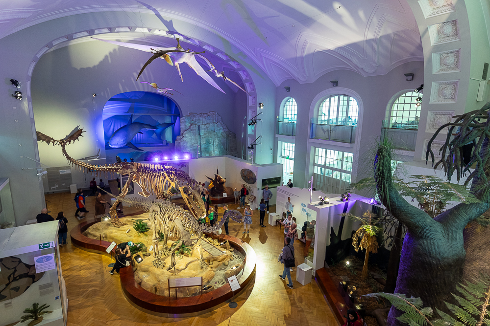 Naturhistorisches Museum