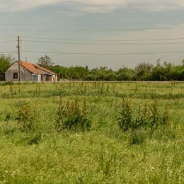 a7824