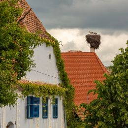 a9595